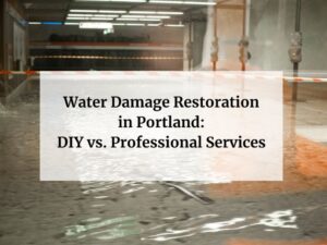 DIY vs. Professional Services