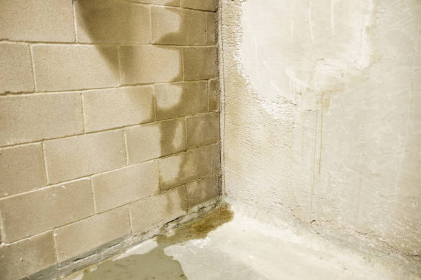 water damage leaks