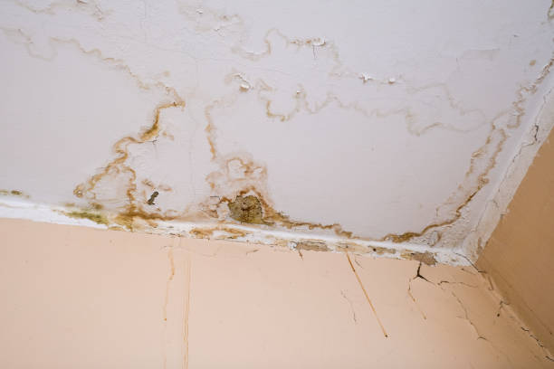 water damage restoration