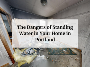 Feature image of The Dangers of Standing Water in Your Home in Portland