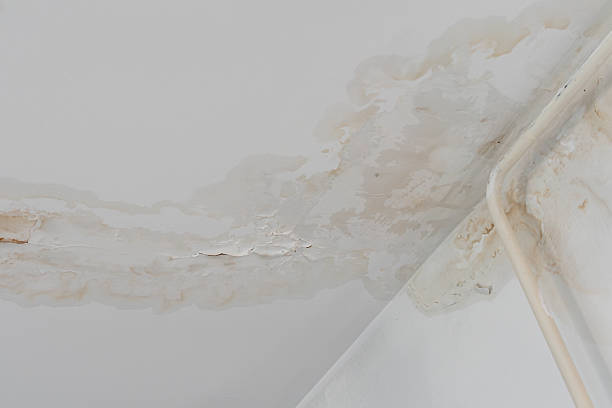 water damage restoration