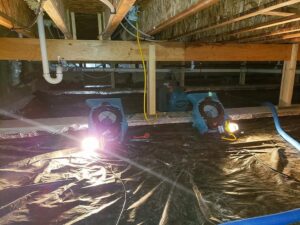 Structural Drying in Portland, OR: How Professionals Protect Walls and Floors