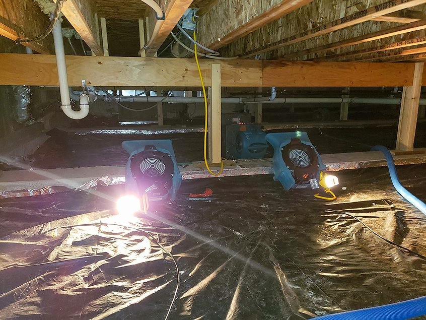 Structural Drying in Portland, OR: How Professionals Protect Walls and Floors