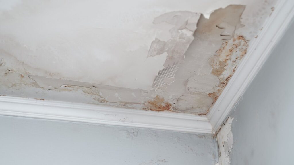 Roof Leak Water Damage Restoration in Portland