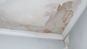 Roof Leak Water Damage Restoration in Portland
