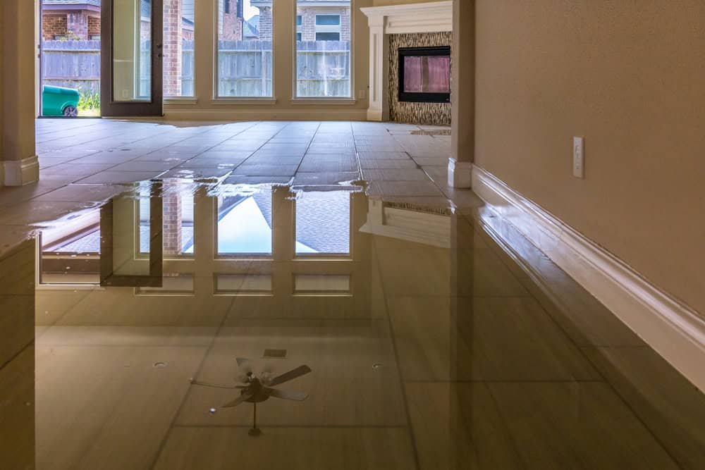 Water Remediation in Oregon: How to Choose a Contractor