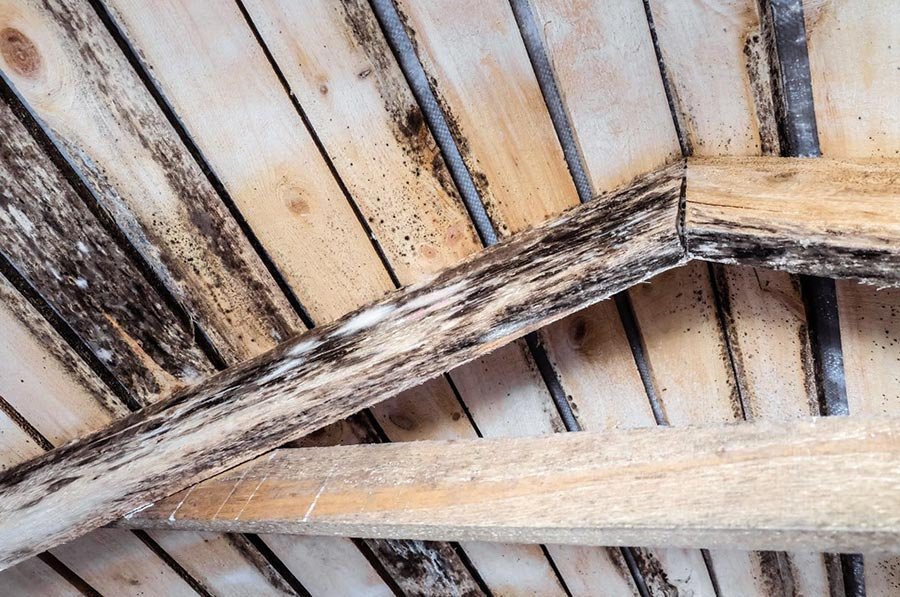 Structural Rebuild After Water Damage: A Portland Case Study