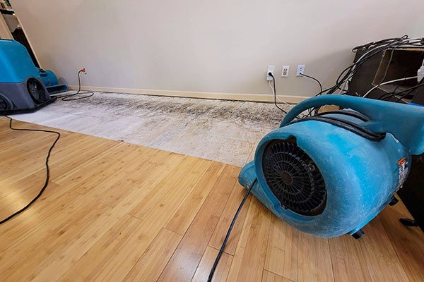 Flood Extraction and Rebuild in Oregon: A Step-by-Step Guide