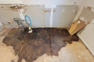 Water Damage Contractor Near Me in Portland: A 2026 Hiring Guide